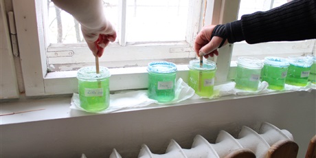 Powiększ grafikę: dzien-otwarty-2026-677918.jpg