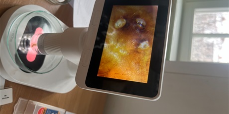 Powiększ grafikę: fascynujace-lekcje-biologii-676681.jpg