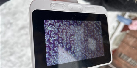 Kiedy śnieg skrzypi pod butami?