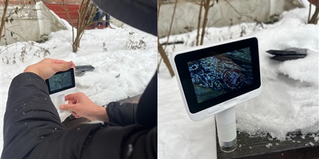 Powiększ grafikę: kiedy-snieg-skrzypi-pod-butami-673866.jpg