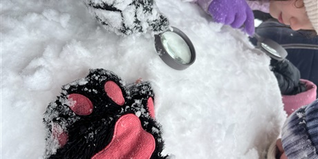 Powiększ grafikę: kiedy-snieg-skrzypi-pod-butami-673867.jpg