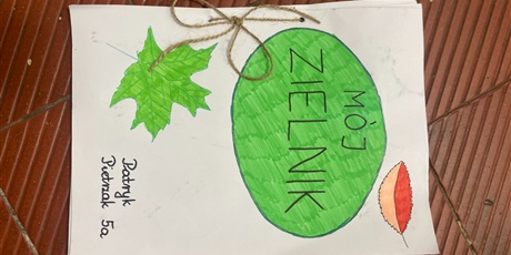 Powiększ grafikę: konkurs-na-zielnik-487726.jpg