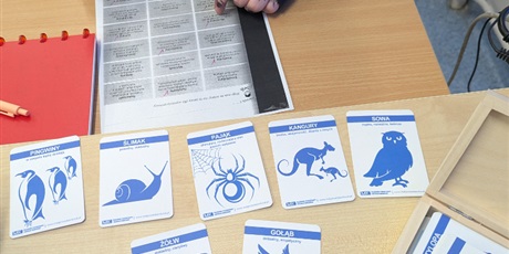 Powiększ grafikę: projekt-wlaczamy-gdanskie-szkoly-689168.jpg