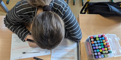 Powiększ grafikę: projekt-wlaczamy-gdanskie-szkoly-689170.jpg