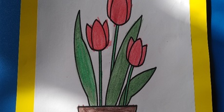 Powiększ grafikę: tulipany-521362.jpg