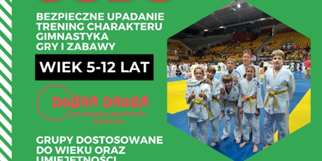 Powiększ grafikę: zajecia-judo-551737.jpg