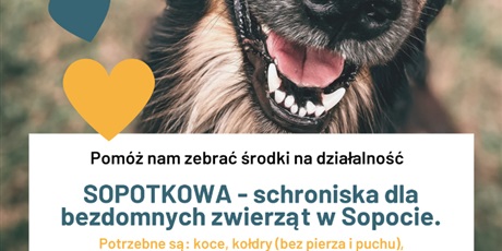 ZBIERAMY DARY DLA SCHRONISKA!