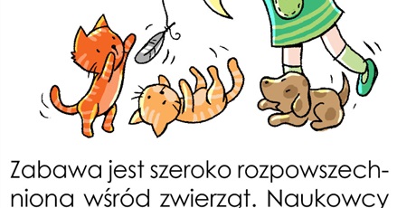 Powiększ grafikę: ♦ Korzyści ze swobodnej zabawy 