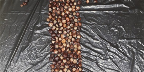 Powiększ grafikę: ODDZIAŁ PRZEDSZKOLNY, czyli szkolna ZERÓWKA